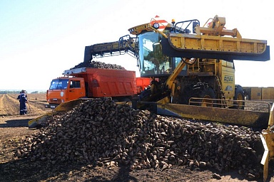 В Республике Башкортостан идет уборка сахарной свеклы