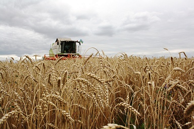 Минсельхоз завершил разработку долгосрочной стратегии развития зернового комплекса Российской Федерации до 2035 года