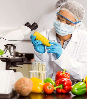 Лабораторный контроль за содержанием ГМО в сельскохозяйственной продукции и его эффективность