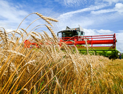 Урожай на репите: Россия снова почти обеспечила продовольственную безопасность