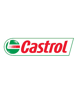 CASTROL ПРЕДСТАВЛЯЕТ ИССЛЕДОВАНИЕ DRIVING THE EVOLUTION