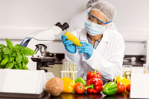 Лабораторный контроль за содержанием ГМО в сельскохозяйственной продукции и его эффективность