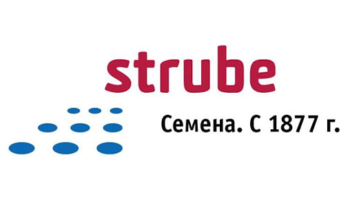 Гибриды сахарной свеклы «Винник» показали высокие результаты в полевых условиях