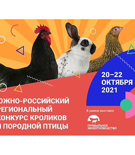 20–22 октября 2021 года в рамках выставки «Прибыльное животноводство» пройдет Южно-Российский региональный конкурс кроликов и породной птицы