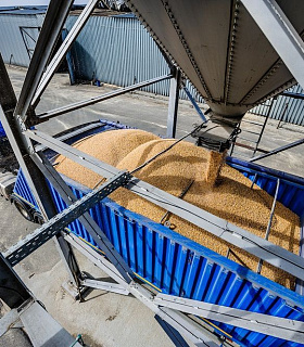 Российские производители полуприцепов в 2023 году продолжают наращивать выпуск зерновозов