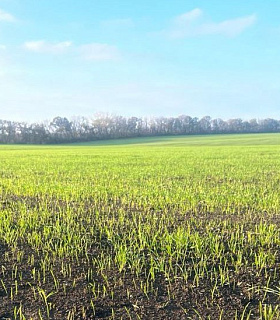 «Прогресс Агро» завершает первую подкормку озимой пшеницы